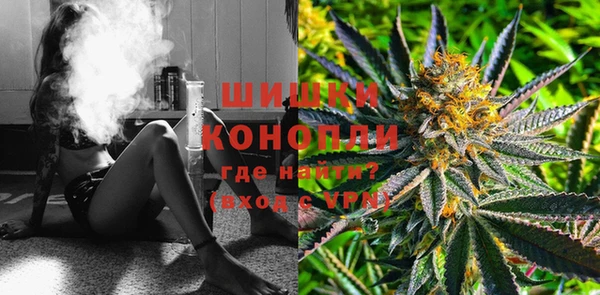 PSILOCYBIN Баксан