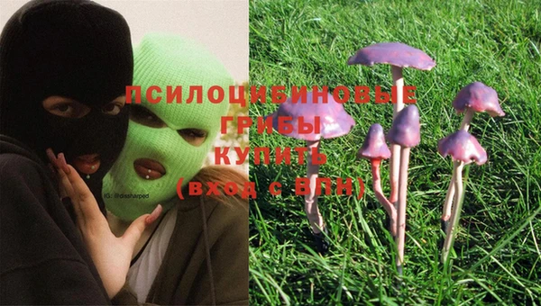 PSILOCYBIN Баксан