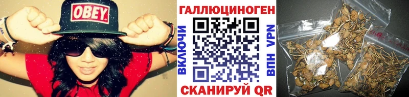 Псилоцибиновые грибы MAGIC MUSHROOMS  Липки 