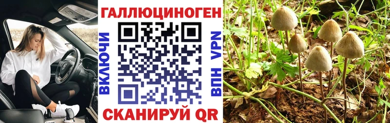 Псилоцибиновые грибы мухоморы Липки